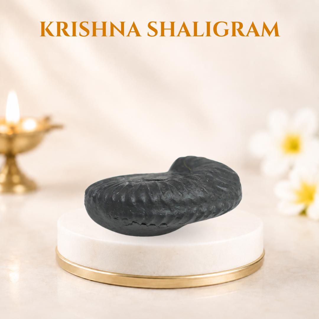 Krishna Shaligram