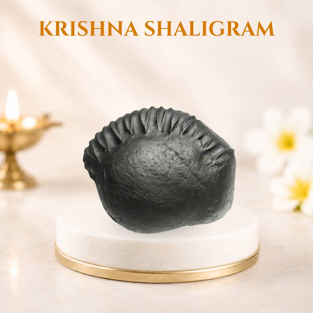 Krishna Shaligram
