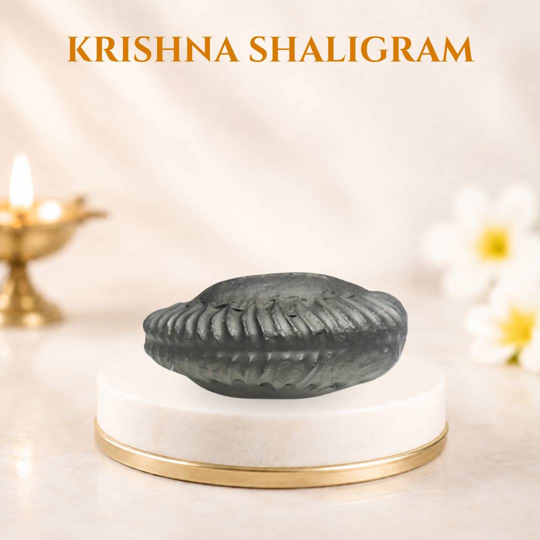 Krishna Shaligram