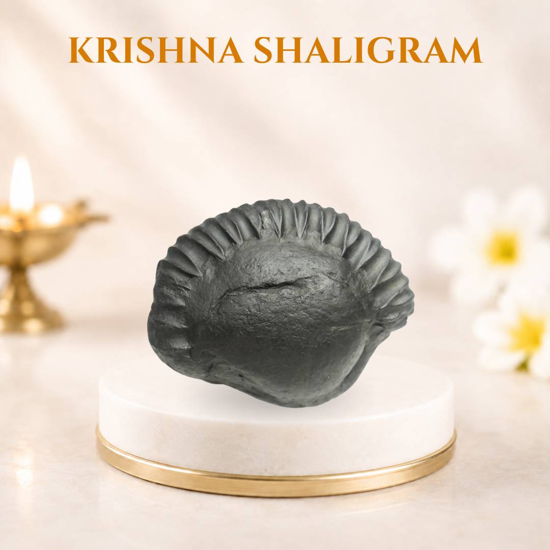 Krishna Shaligram