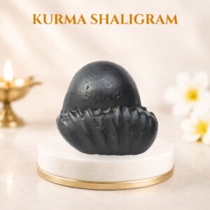 Kurma Shaligram