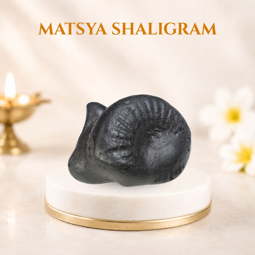 Matsya Shaligram
