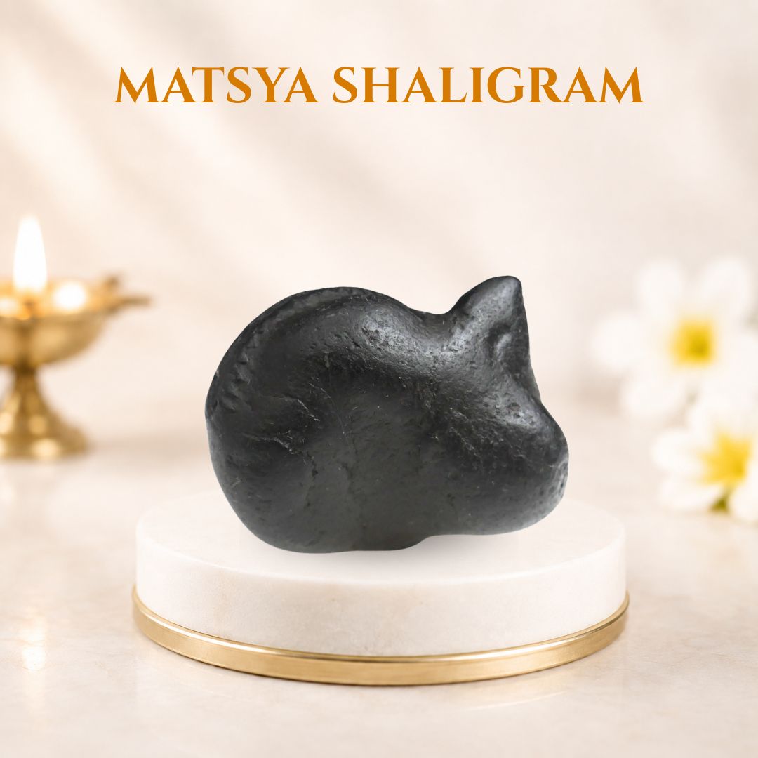 Matsya Shaligram