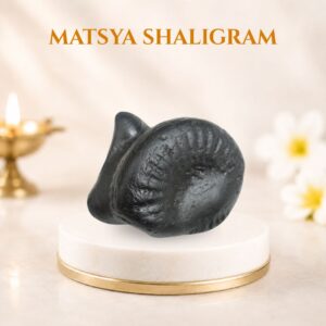 Matsya Shaligram