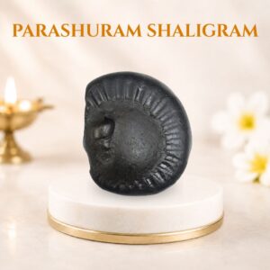 Parashuram Shaligram
