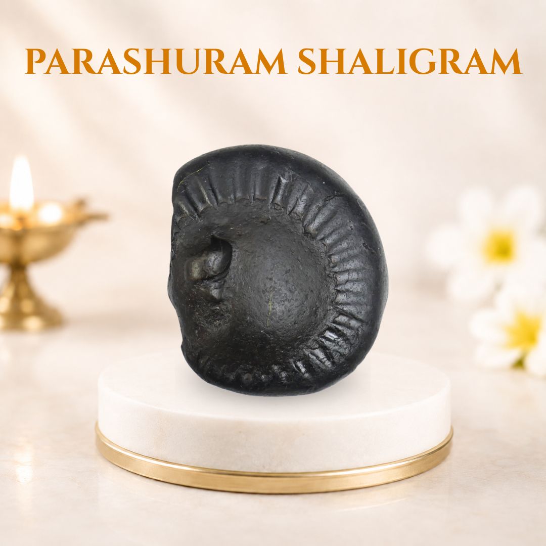 Parashuram Shaligram