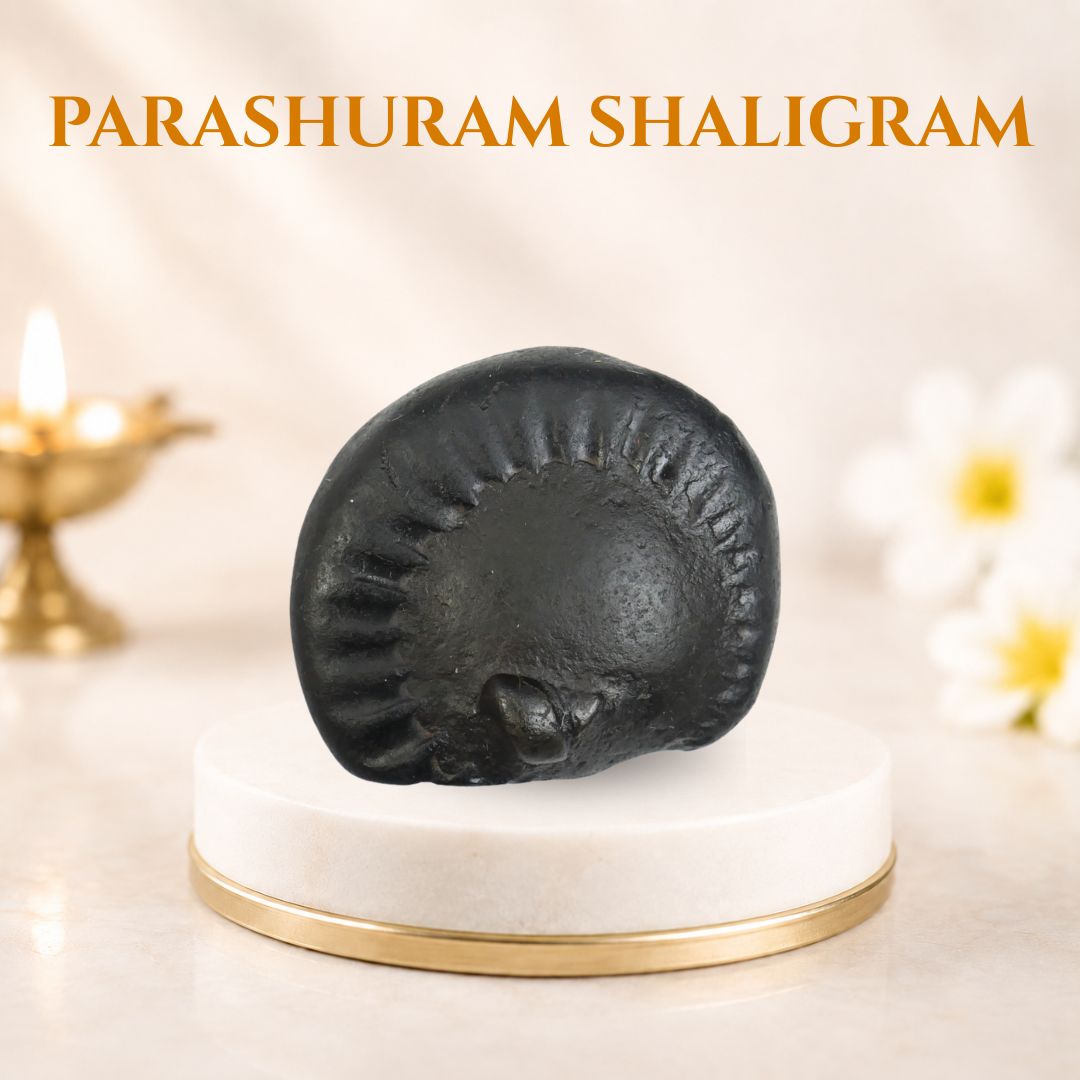 Parashuram Shaligram