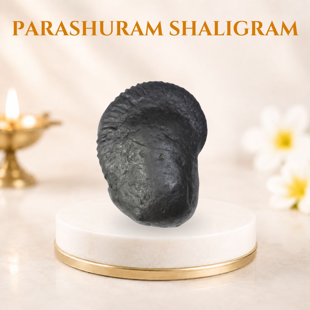Parashuram Shaligram
