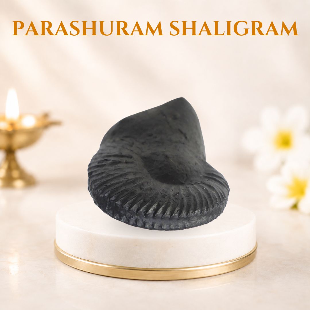 Parashuram Shaligram