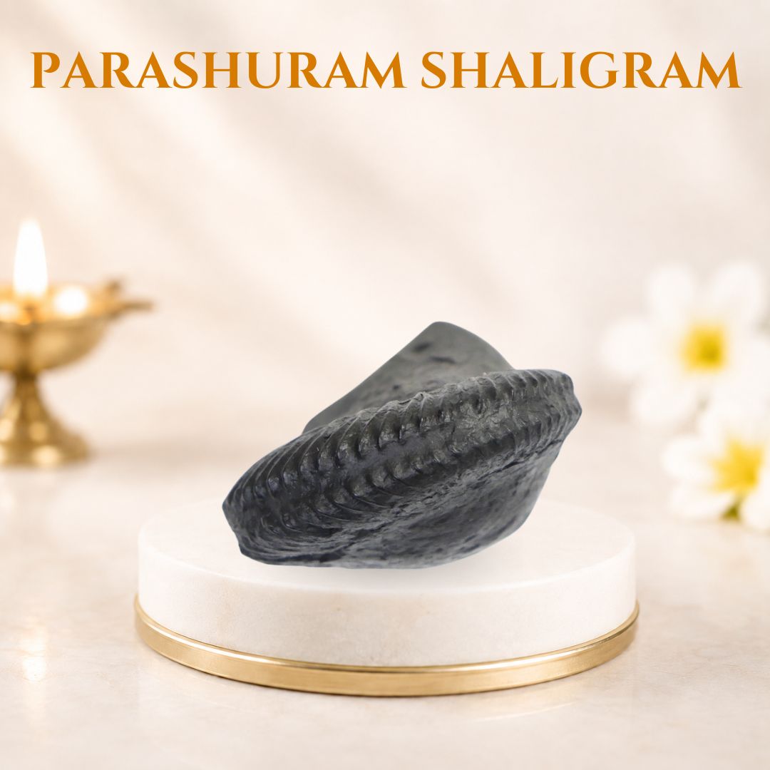 Parashuram Shaligram
