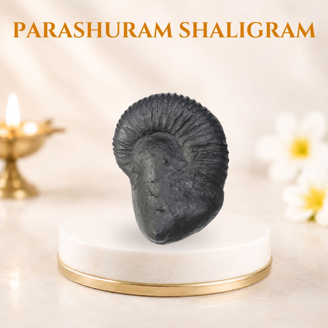 Parashuram Shaligram