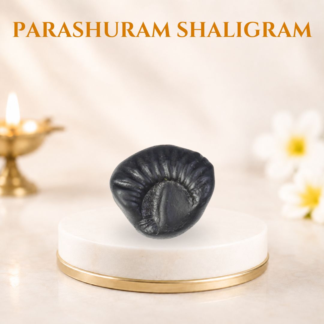 Parashuram Shaligram