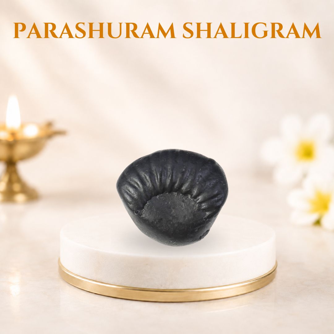 Parashuram Shaligram