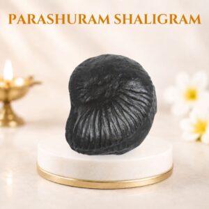 Parashuram Shaligram
