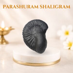 Parashuram Shaligram
