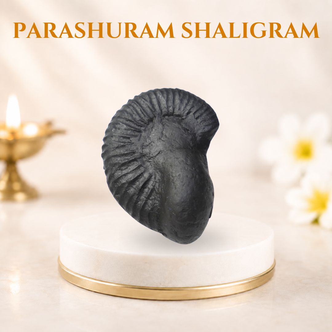 Parashuram Shaligram