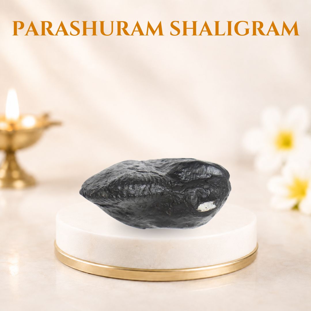 Parashuram Shaligram