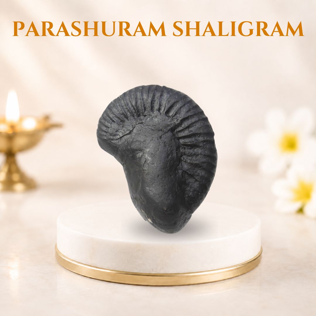 Parashuram Shaligram