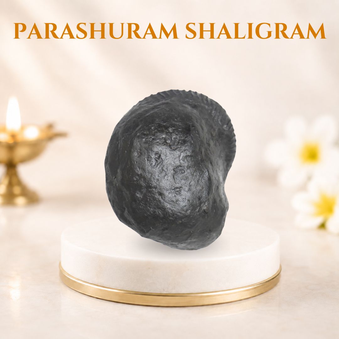 Parashuram Shaligram