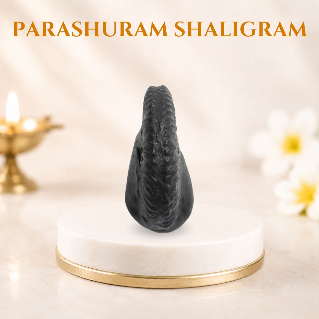 Parashuram Shaligram