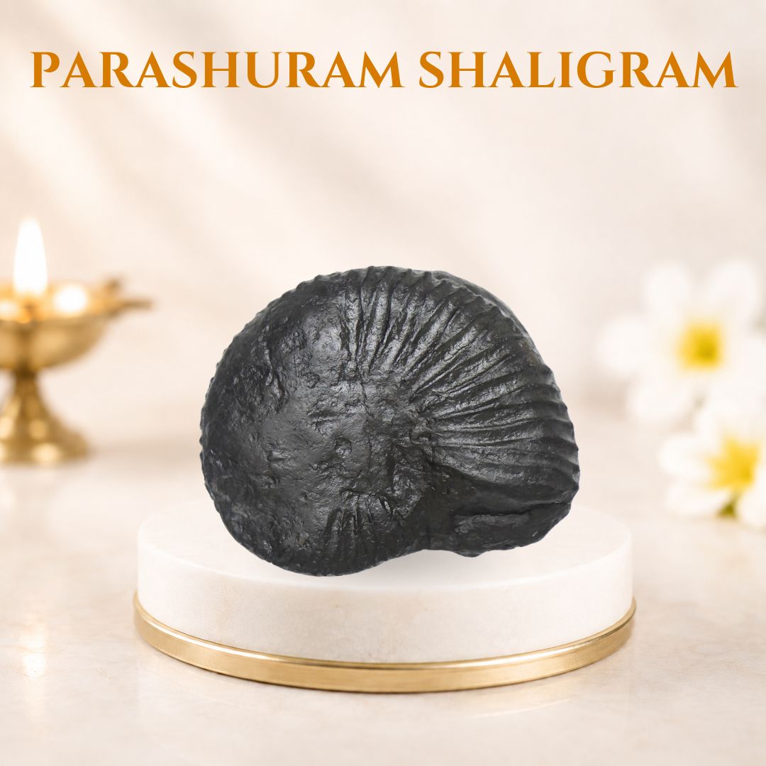 Parashuram Shaligram