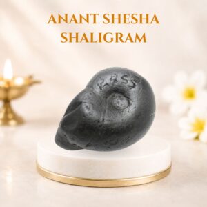 Shesha Shaligram