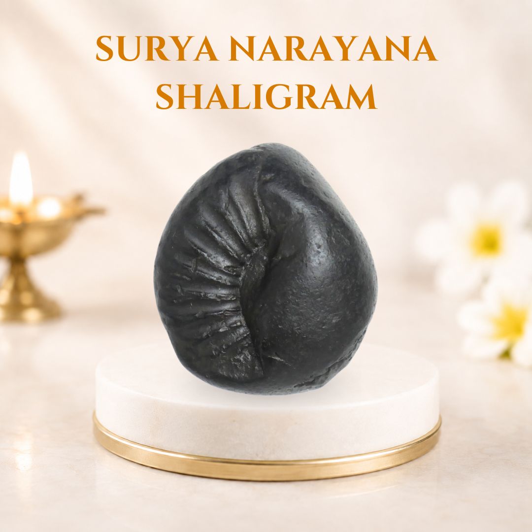 Surya Narayana Shaligram