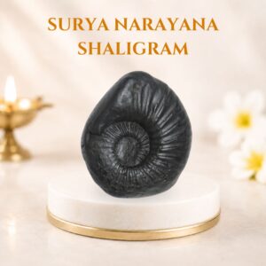 Surya Narayana Shaligram
