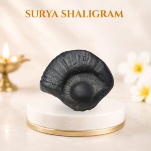 Surya Shaligram