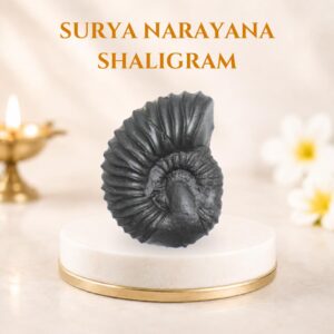 Surya narayana shaligram