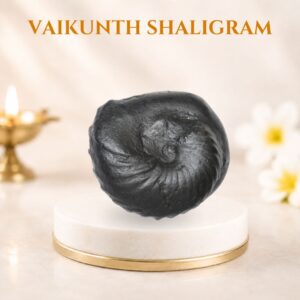 Vaikunth Shaligram