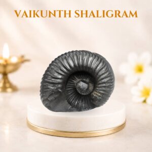 Vaikunth shaligram
