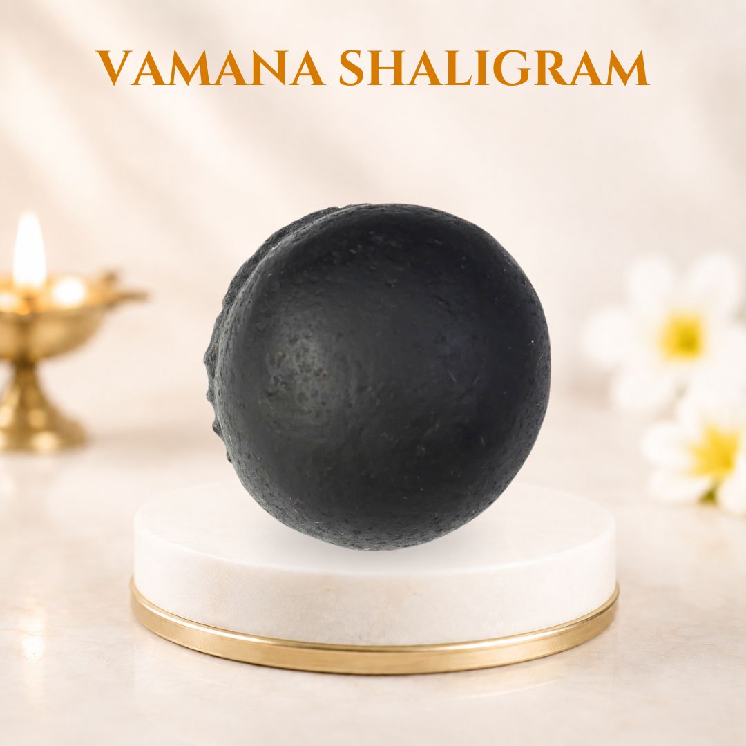 Vamana Shaligram