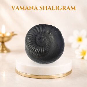Vamana Shaligram