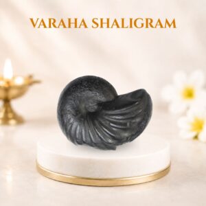 Varaha Shaligram