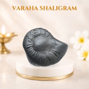Varaha Shaligram