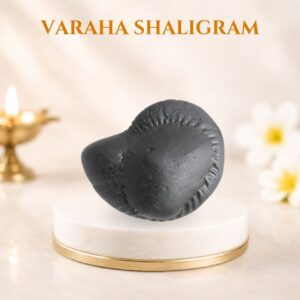 Varaha shaligram