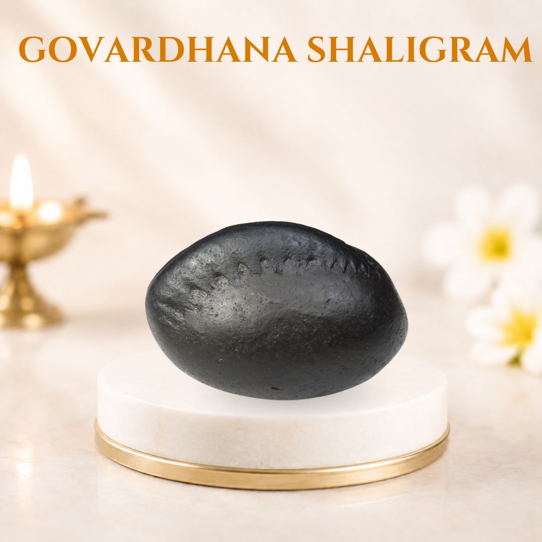govardhan shaligram