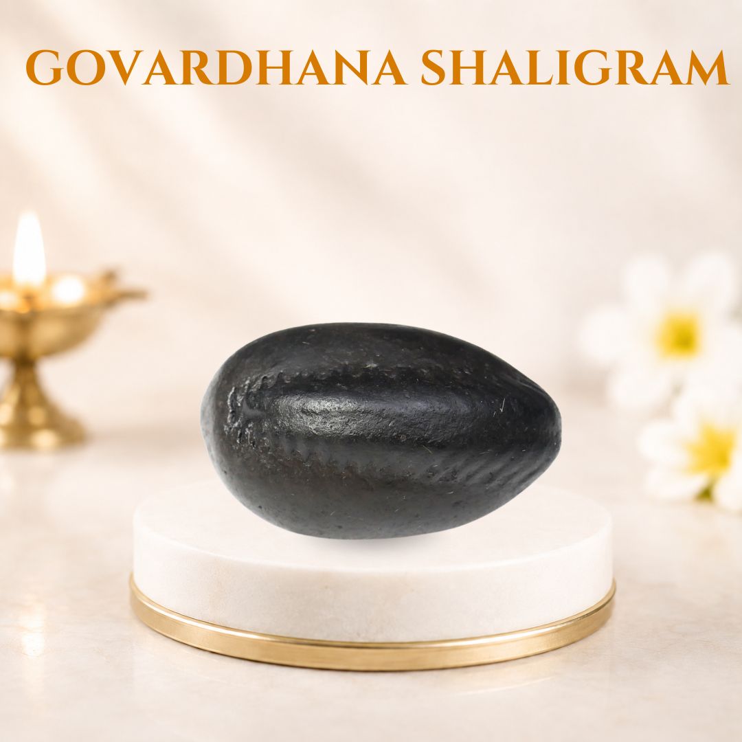 govardhan shaligram