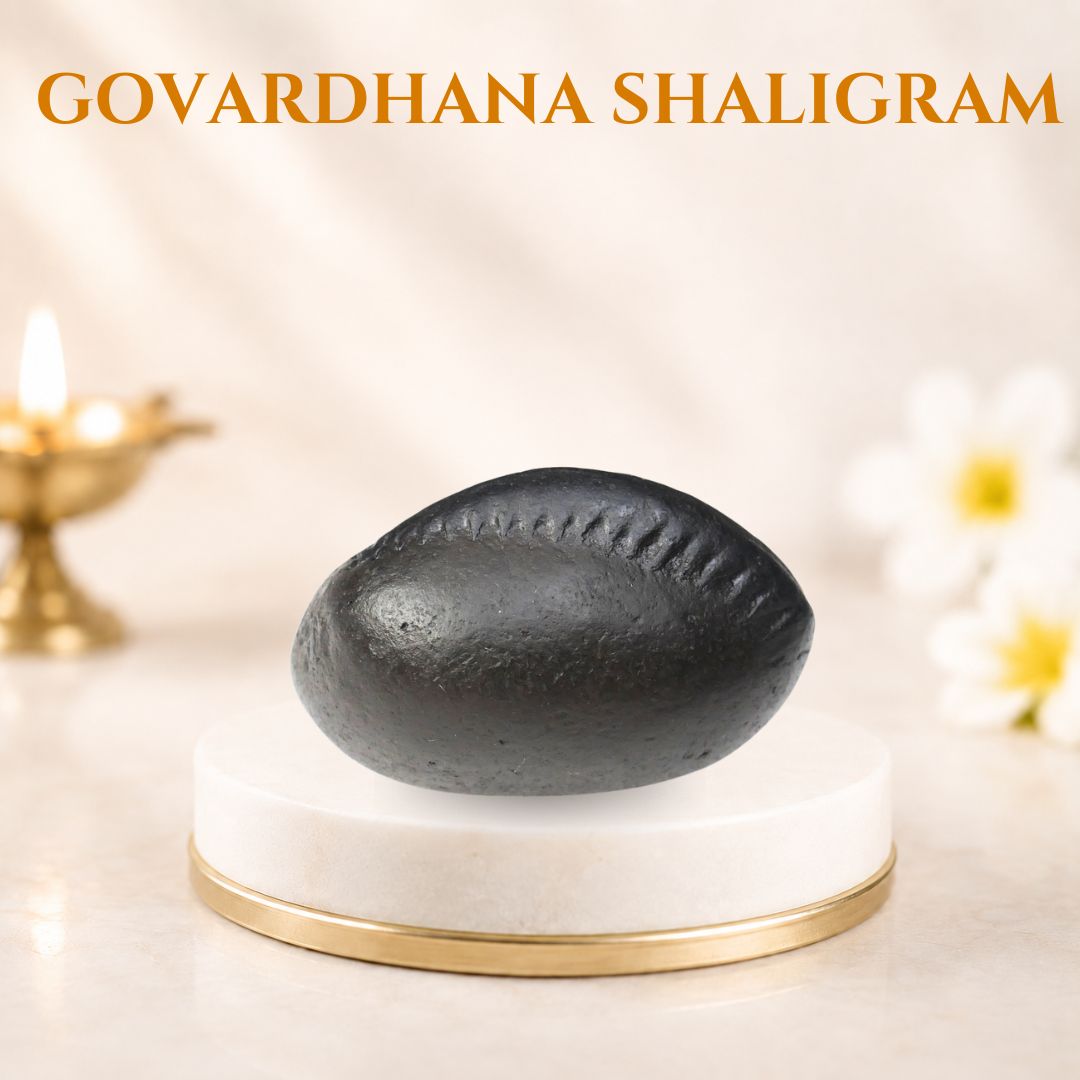govardhan shaligram