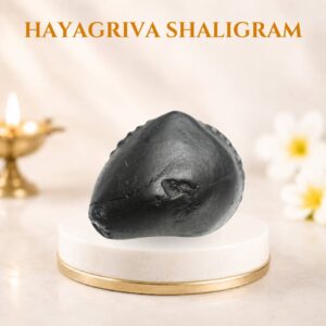 Hayagriva shaligram