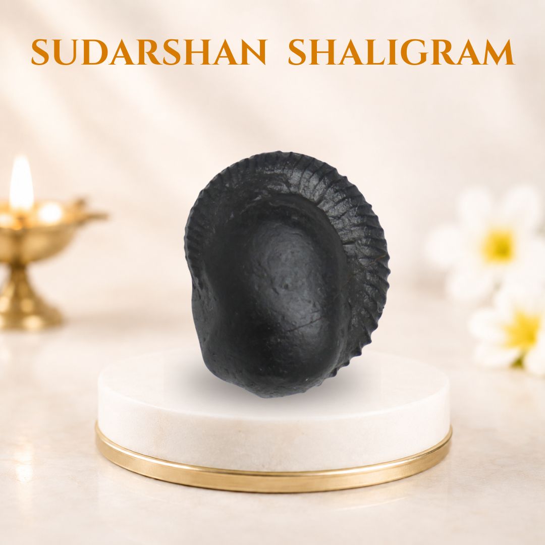 Sudarshan Shaligram SGN02 - Image 2