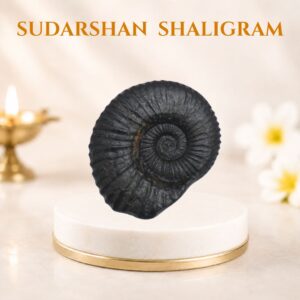sudarshan shaligram