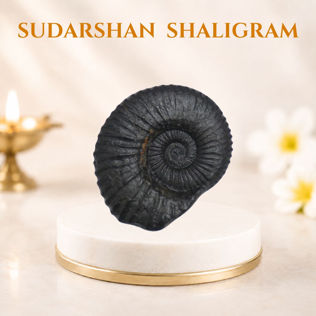 sudarshan shaligram