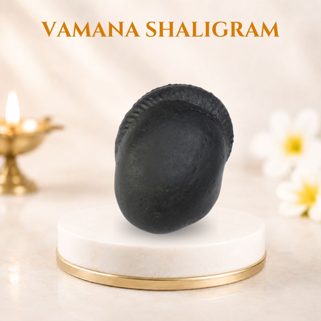 vamana shaligram