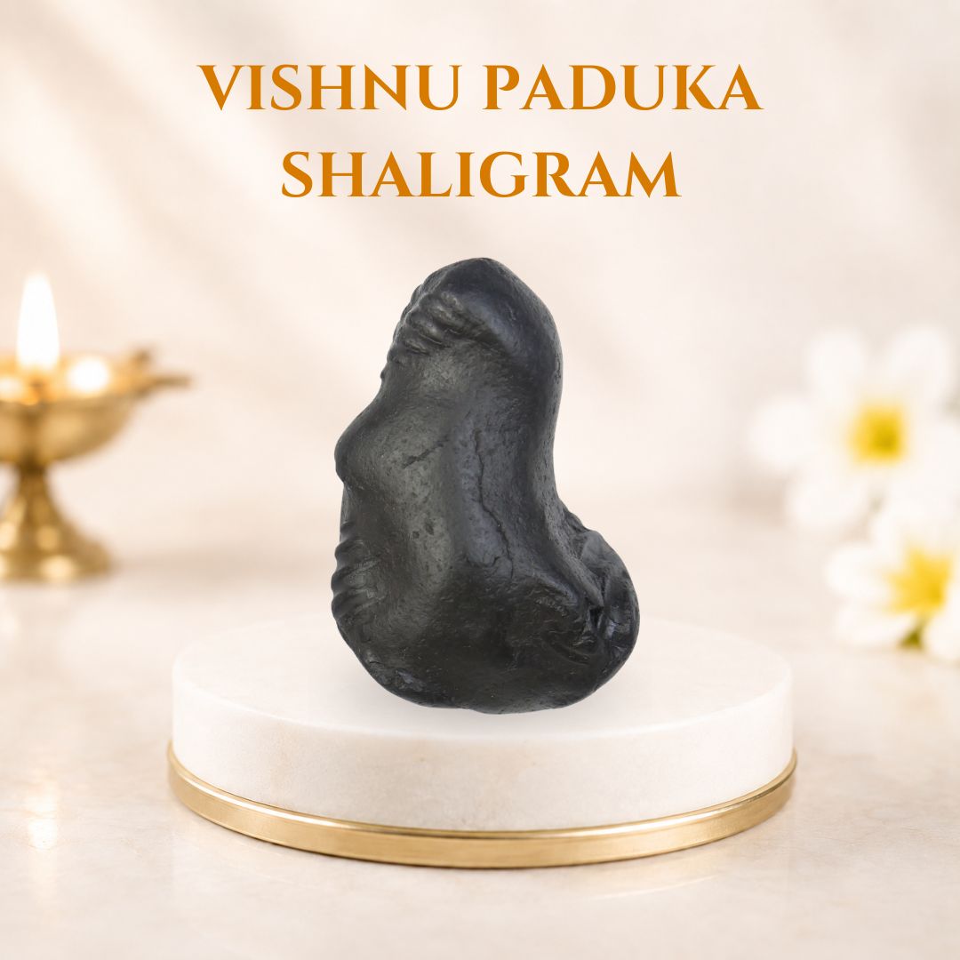 Vishnu Charan Paduka Shaligram