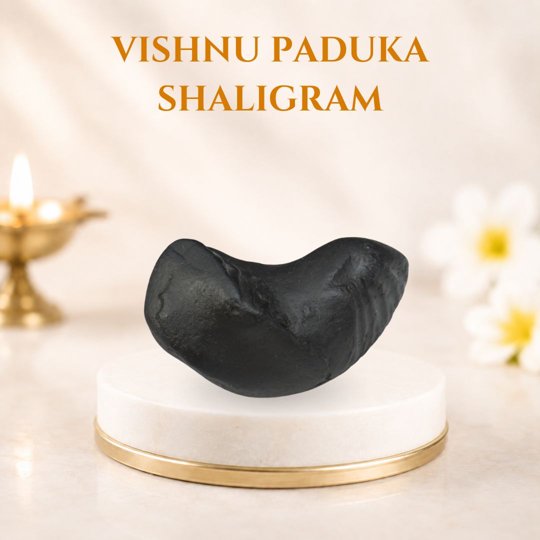 Vishnu Charan Paduka Shaligram