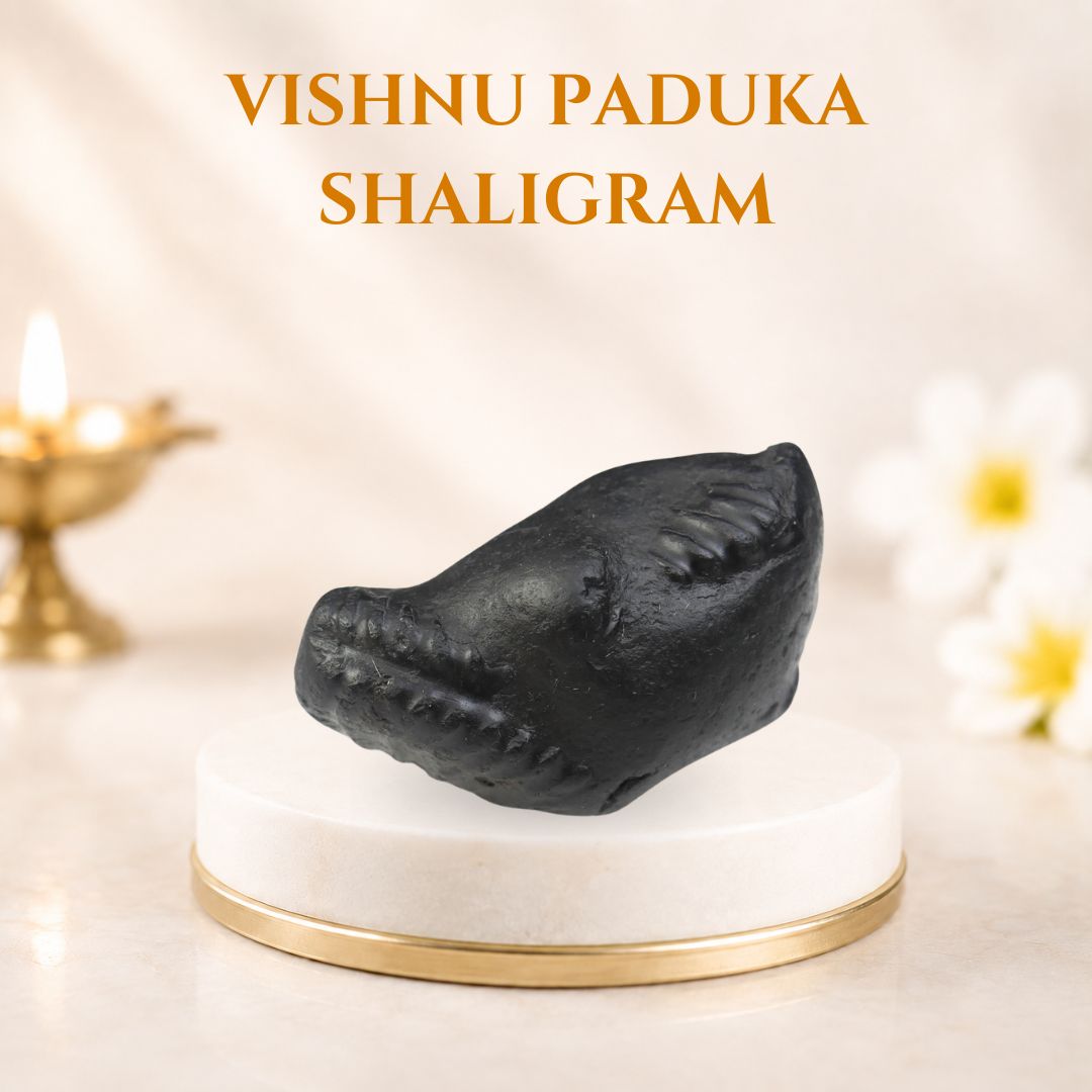 Vishnu Charan Paduka Shaligram